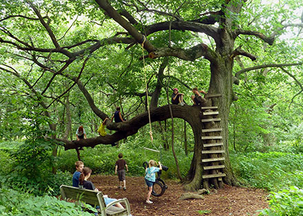 6 children climbing on a large branch of a tree
