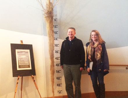 Bill Stewart and student standing next to 8-foot-tall stalk of grass